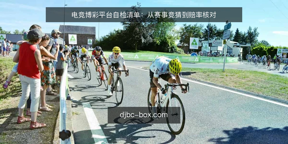 电竞博彩平台自检清单：从赛事竞猜到赔率核对 — 需求界定：先明确你要竞猜什么 配图